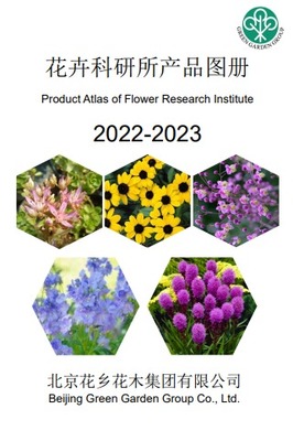 免費(fèi)制作翻頁(yè)電子書、電子畫冊(cè)和電子雜志的高效工具推薦